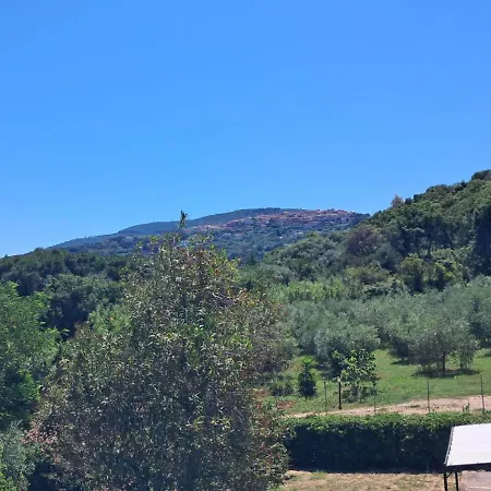 Lägenhet Cala
